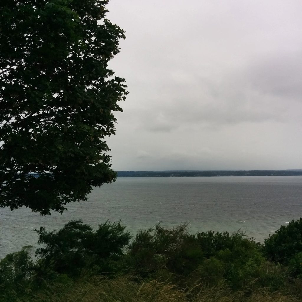 One of the great views from Discovery Park bluff.