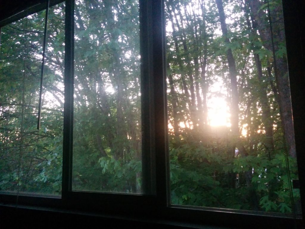 Morning sun out my bedroom window.