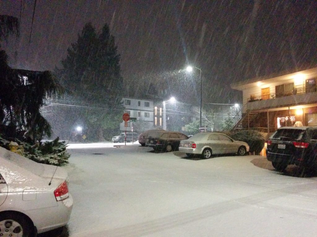A photo of a snow-covered street, brightly lit by streetlights in the background. The snow is almost undisturbed, and is beginning to blanket the cars. Snow continues to fall.