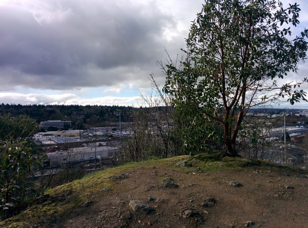 A grassy peak, topped with a few scrubby trees. Grey clouds cover most of the sky. Beyond the peak is an industrial area, far below.