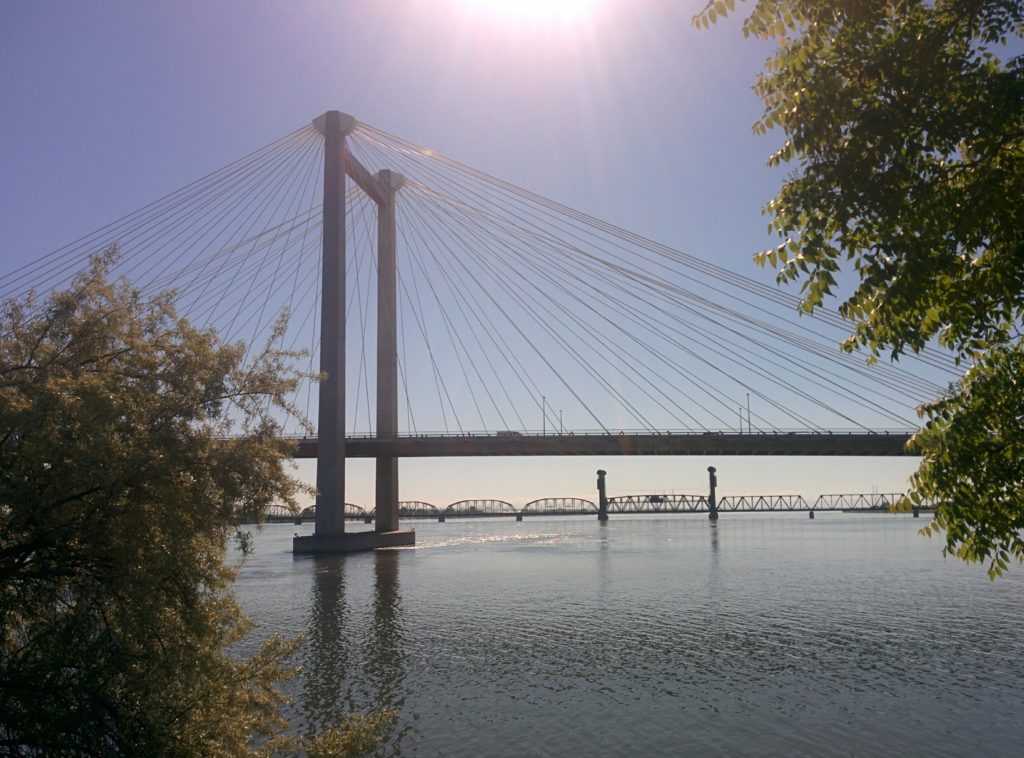 A suspension bridge spans across the Columbia river. The sun beams down from the top of the frame. A few bushes and trees appear on the edges, closer to the camera, but do not obscure the bridge.