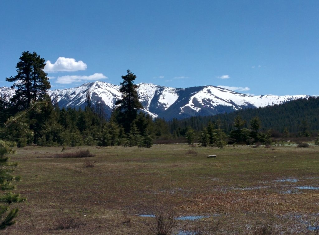 A muddy meadow takes up the lower half of the picture, receding into a deep green evergreen forest approximately a quarter mile away. Beyond that, snow-capped mountains thrus up into a pale blue sky with only a few clouds visible.
