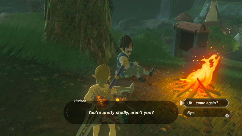 Link, in his boxer shorts, in in discussion with a man next to a fire. The man is observing that Link is quite studly, and the dialogue options presented to the player are to exit the conversation or express confusion.