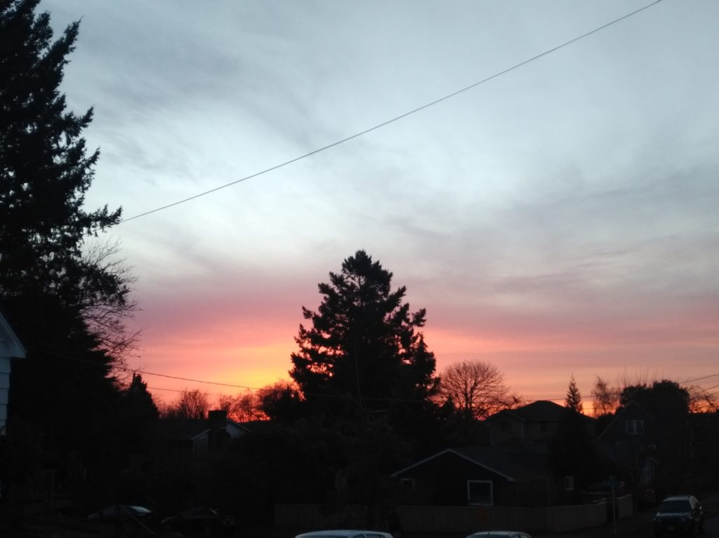 A sunset with trees and houses shilouetted in the foreground.