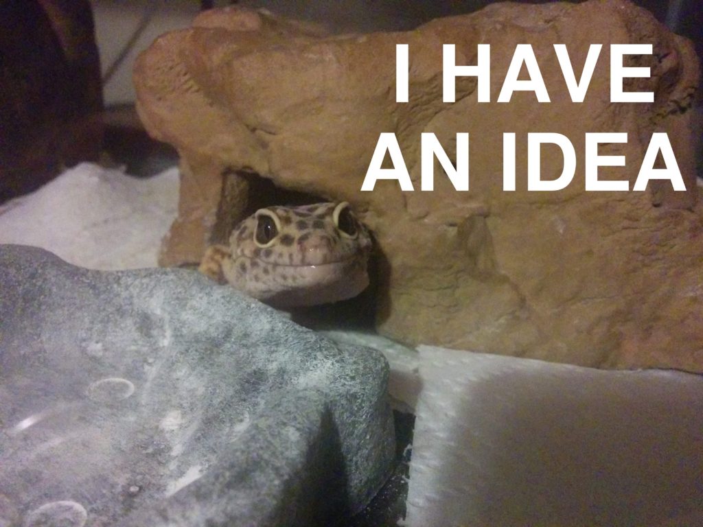 Jerry the leopard gecko peeking out of his hide with "I HAVE AN IDEA" written in large white text next to him.