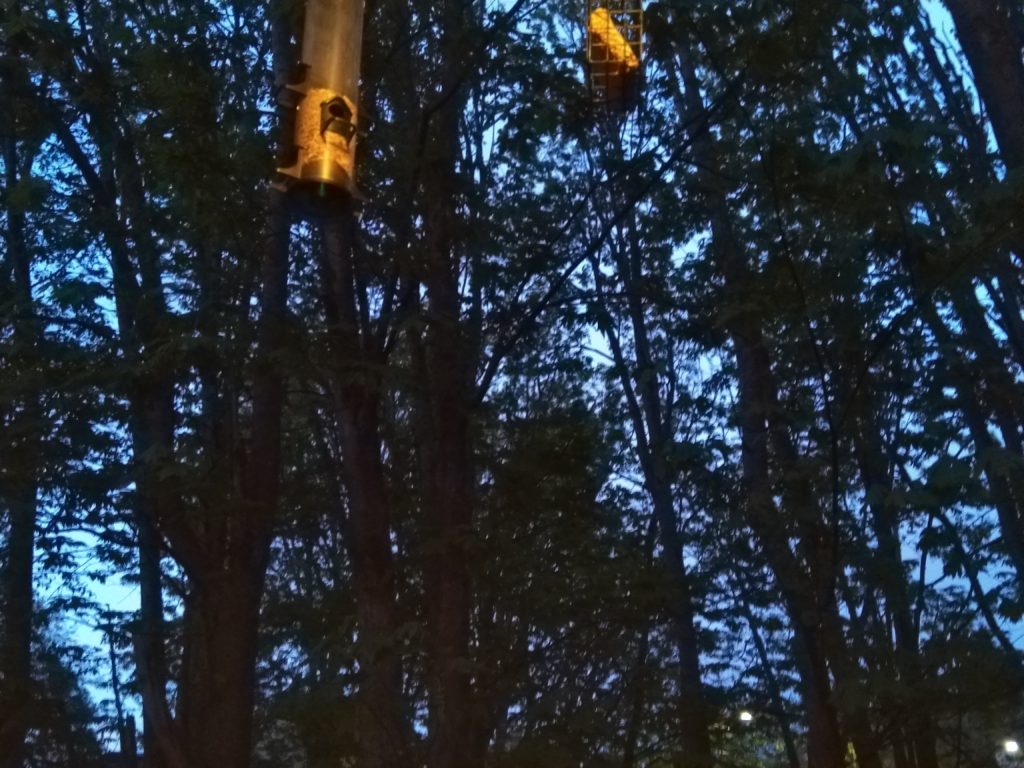 Trees silhouetted by the last light of the day. Two bird feeders peek into the foreground from the top of the frame.